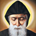 Saint Charbel Oil Free